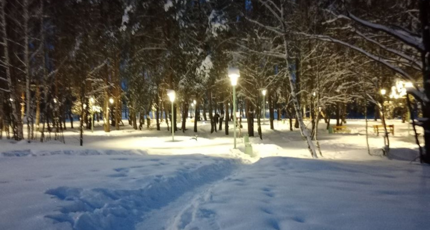 Нацпарк «Смольный» в Мордовии получил замечания от прокуратуры за нарушения