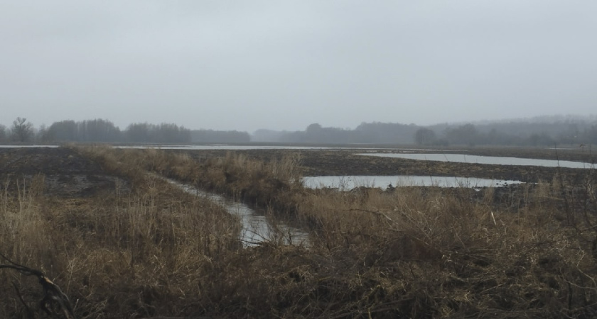 Во всех окрестных регионах Средней Волги ожидаются паводки из-за осадков