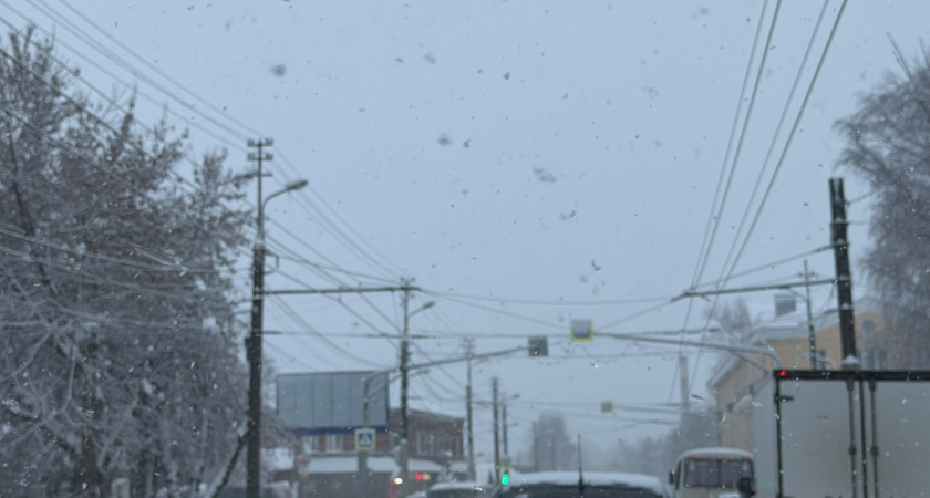 Житель Саранска с татуировкой дракона уехал в Москву на заработки и пропал