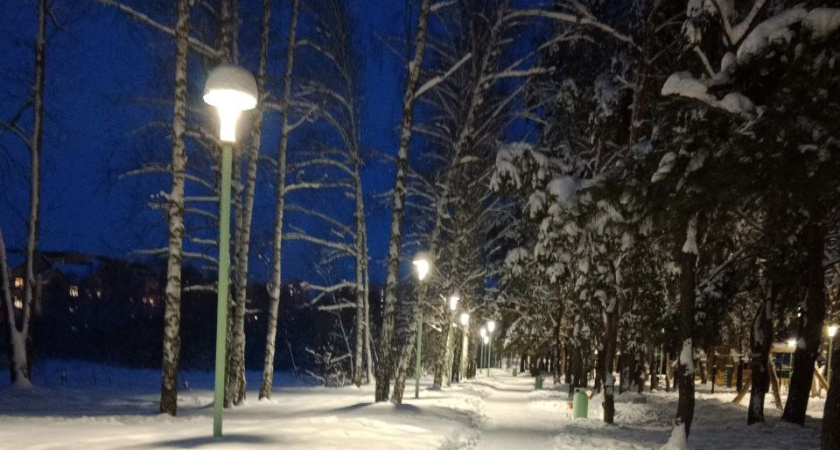 «Паутина» помогла поймать автоугонщика в Мордовии