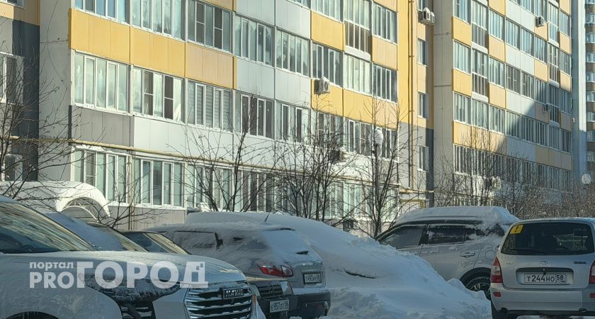 В Саранске студенты МГУ имени Огарева вышли на «Снежный десант»