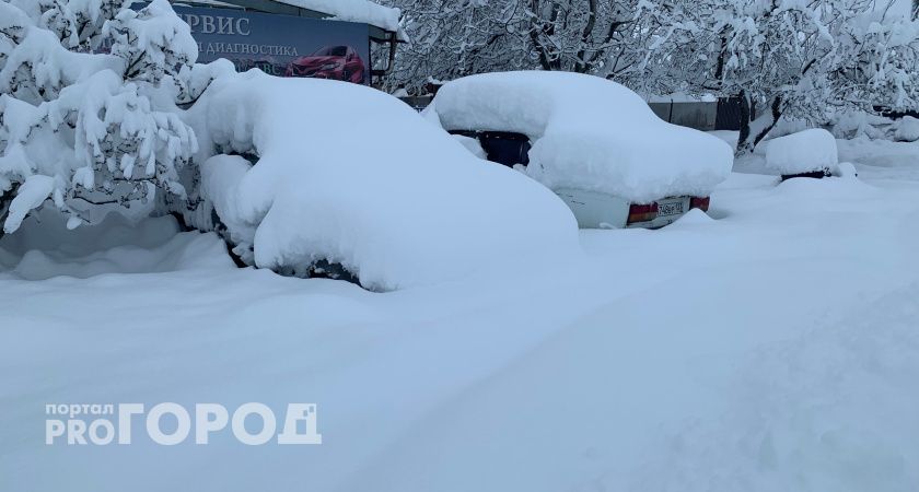 В Мордовии выявили нарушения пожарной безопасности в парке «Смольный»