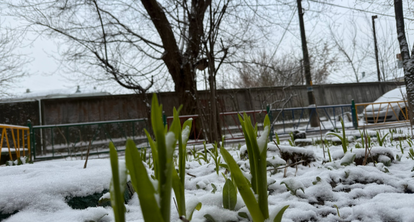 Мордовию накроет кратковременная оттепель, предупреждают синоптики