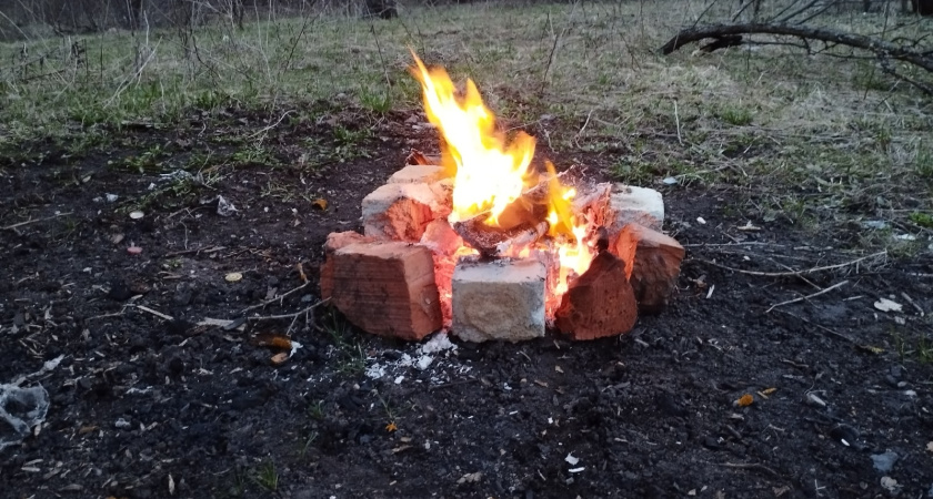 Власти Мордовии предупредили о начале пожароопасного сезона и возможных штрафах