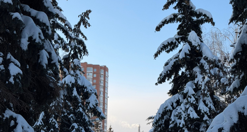 Синоптики сообщили, сколько в Мордовии продержится похолодание