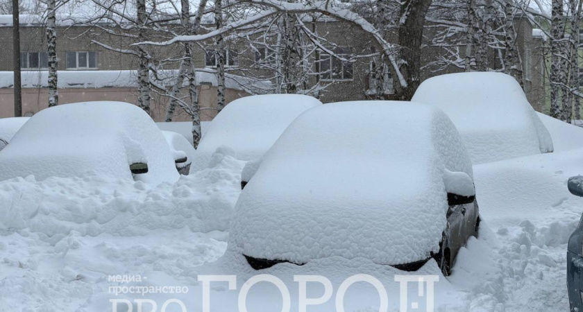 В Мордовии из-за аномальных запасов снега прогнозируется высокий риск паводка