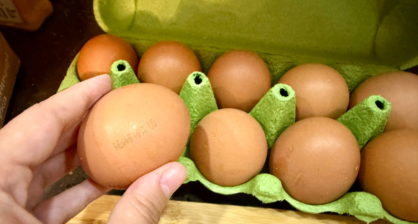 Саранск может стать «Яичной столицей России»