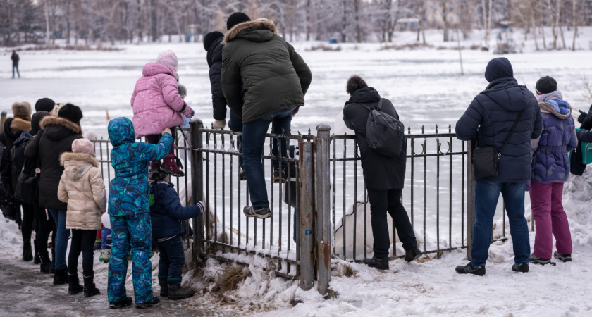 На Масленицу в Саранске часть горожан не смогла попасть в парк через главный вход