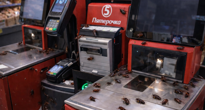 Тараканы замечены у касс самообслуживания в «Пятёрочке» в Саранске