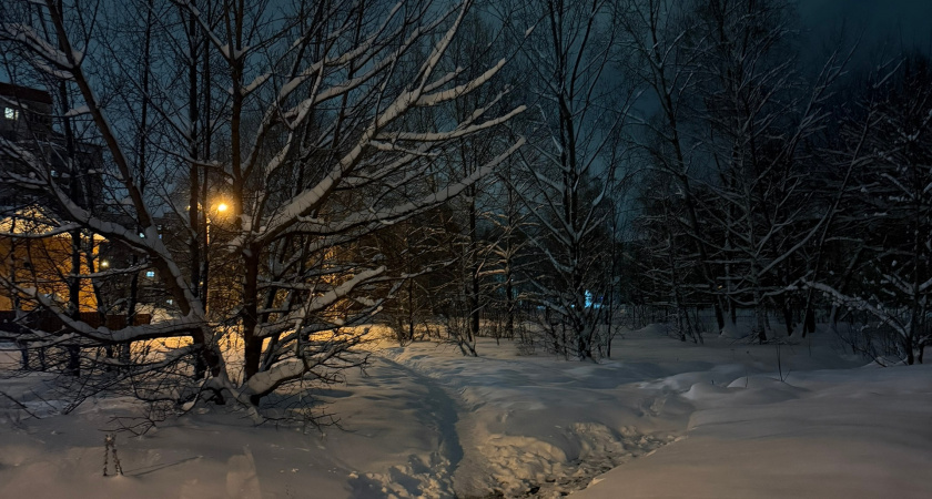 Сельское хозяйство Мордовии показало положительную динамику по всем ключевым направлениям