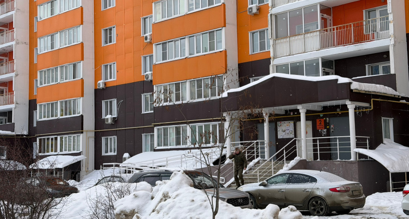 Регион добился успеха: Мордовия в тройке лидеров по программе “Алгоритмика”