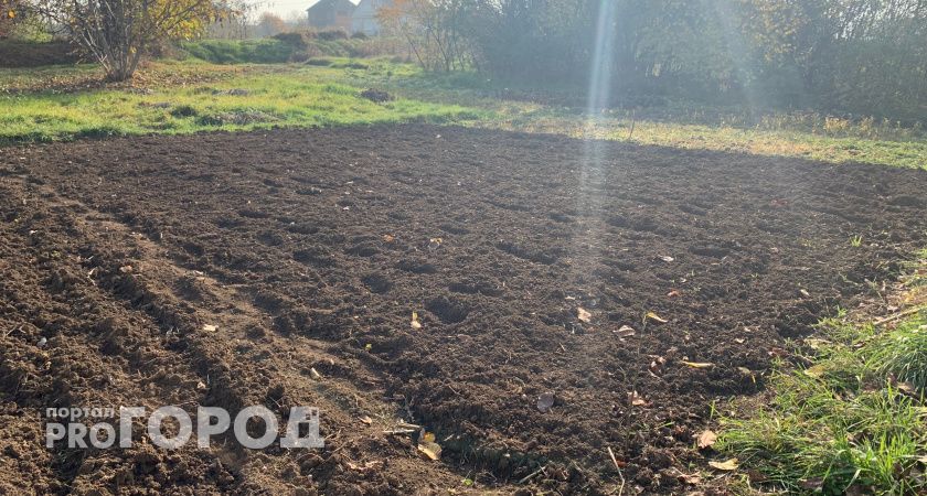 В Мордовии завод замороженной выпечки и пиццы получил премию «Агроинвестор года»