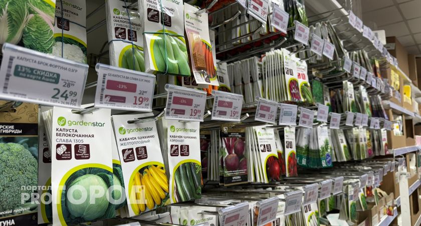 В Саранске прокуратура выявила незаконную продажу семян через маркетплейс