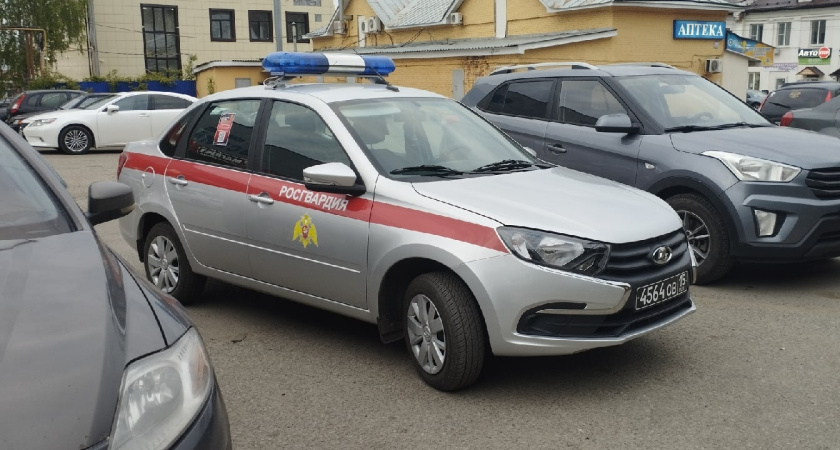 В Саранске росгвардейцы задержали граждан, которых подозревают в краже алкоголя 