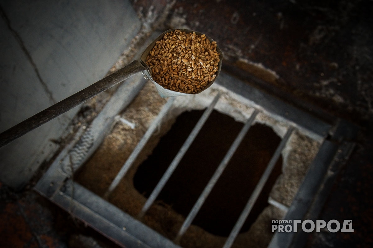 В Мордовии обнаружили 150 тонн зараженного зерна