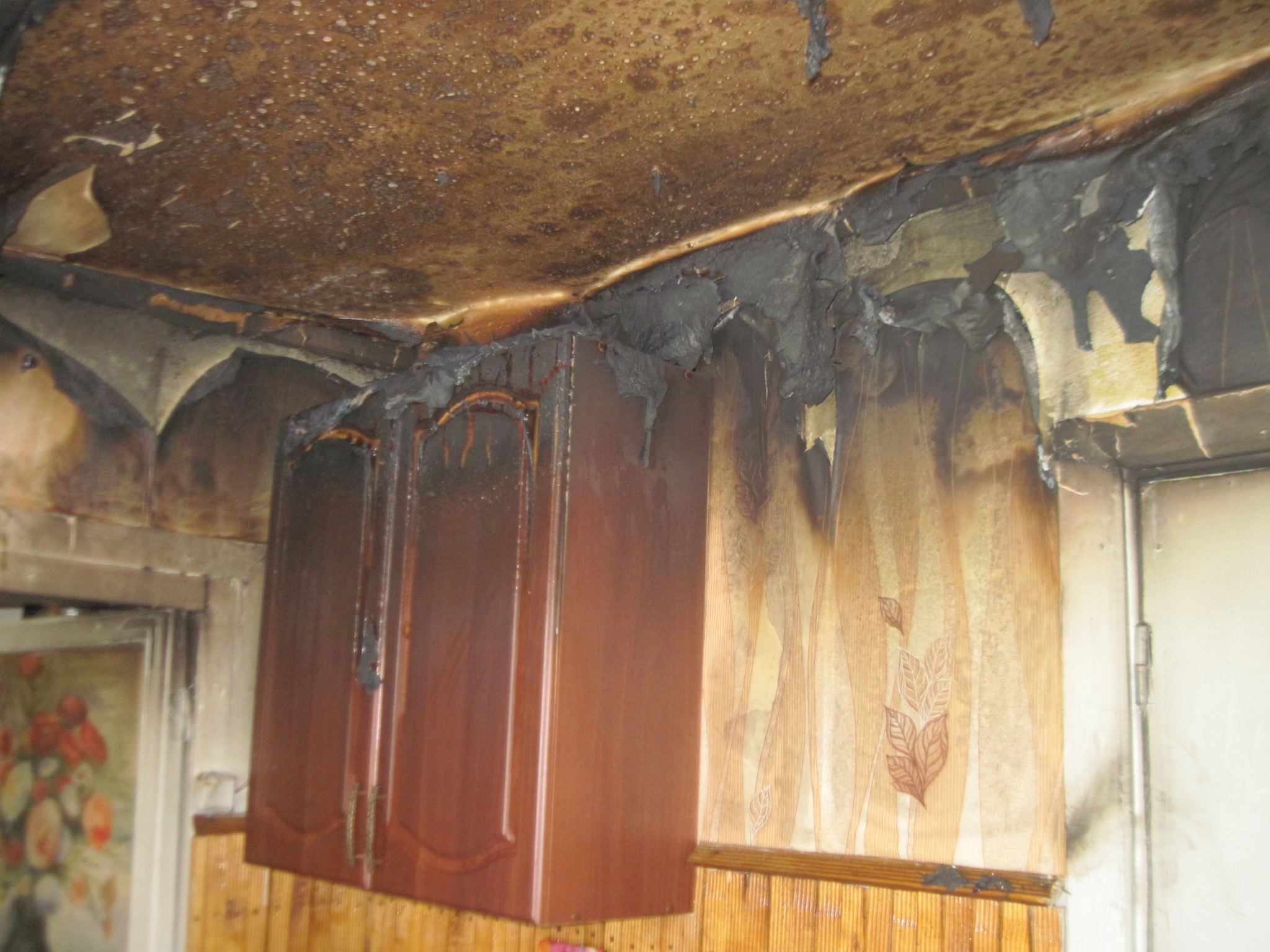 Жительница Мордовии отравилась угарным газом, пытаясь потушить свой дом (ФОТО)