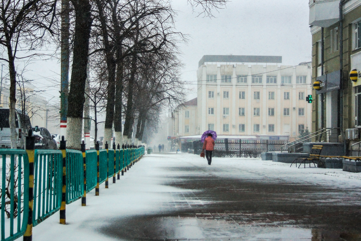 МЧС предупреждает: 20 апреля в Мордовии будет сильный ветер и снег