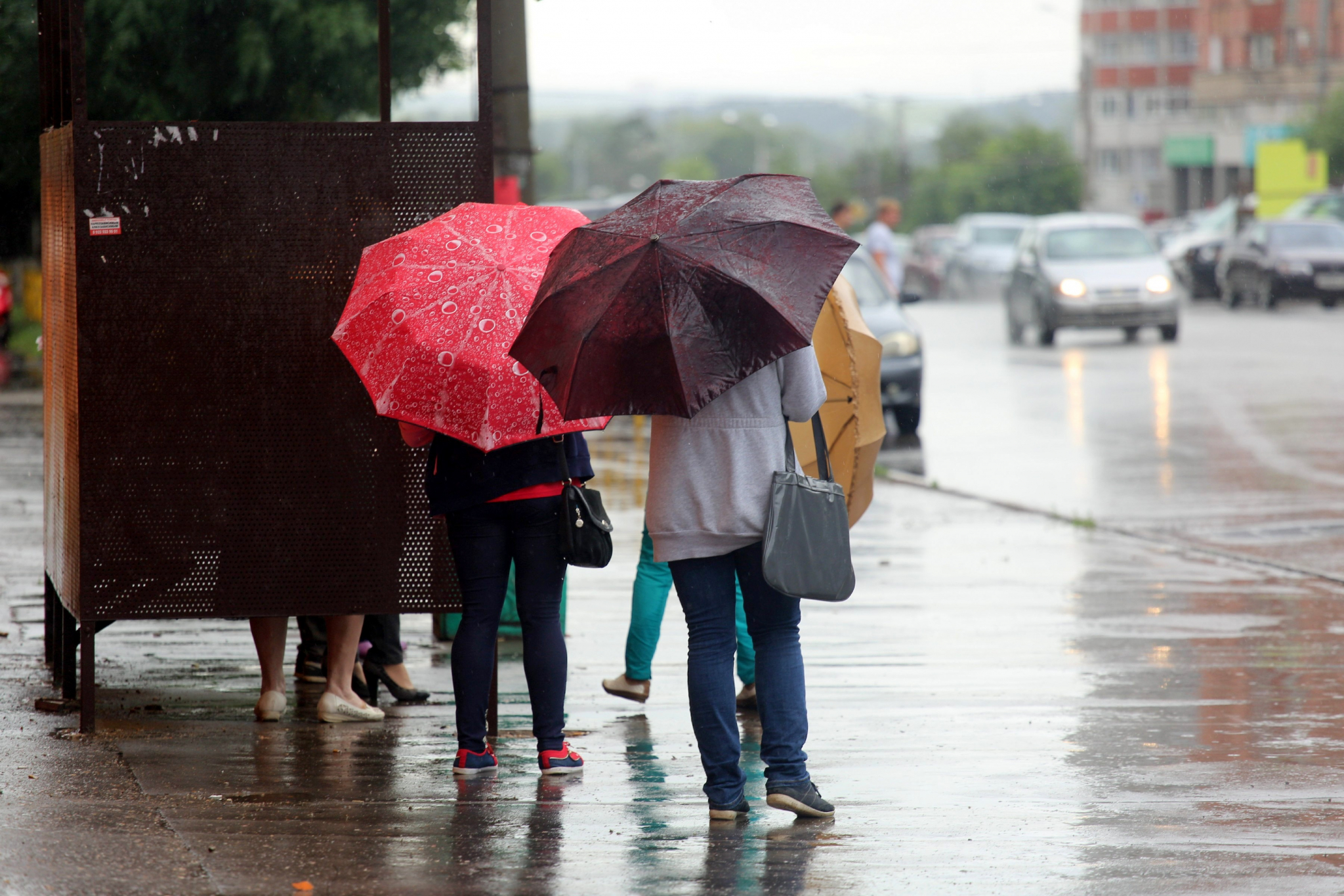 Погода в Саранске 25 апреля: малооблачно, небольшой дождь, гроза