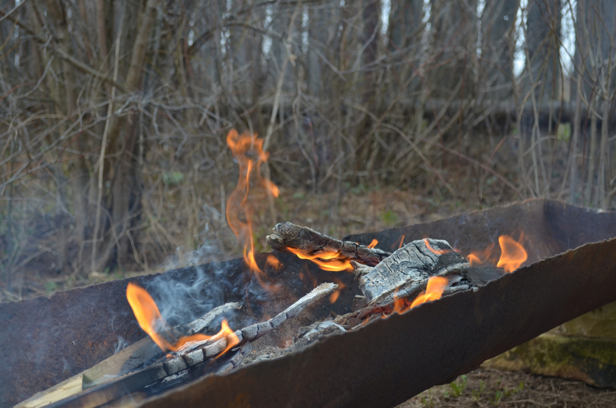 Гороскоп на 3 мая: одному из знаков следует избегать суеты