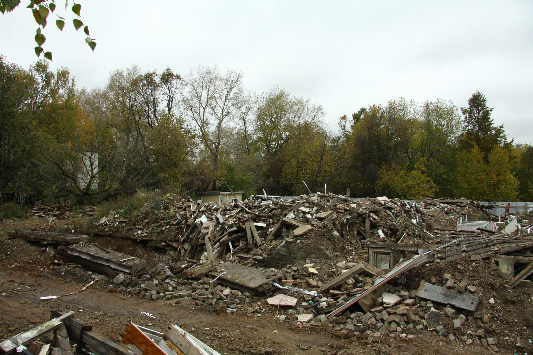 В одном из районов Мордовии обнаружены несанкционированные свалки