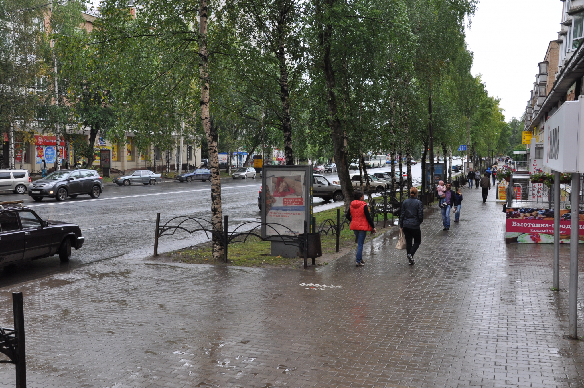 Погода в Саранске 17 мая: возможен небольшой дождь