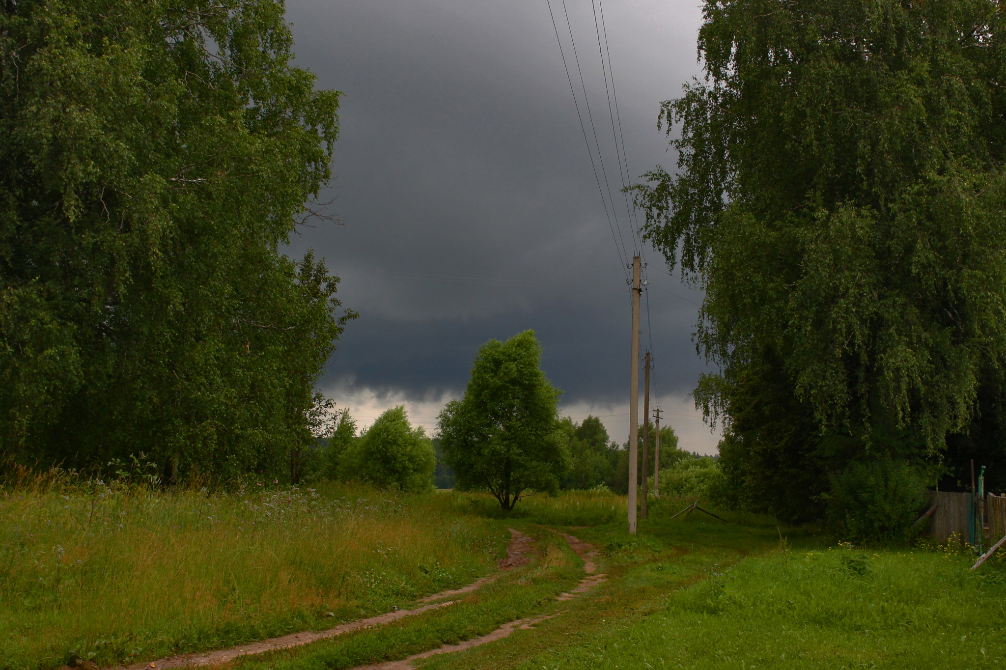 Погода в Саранске 25 мая: возможна гроза