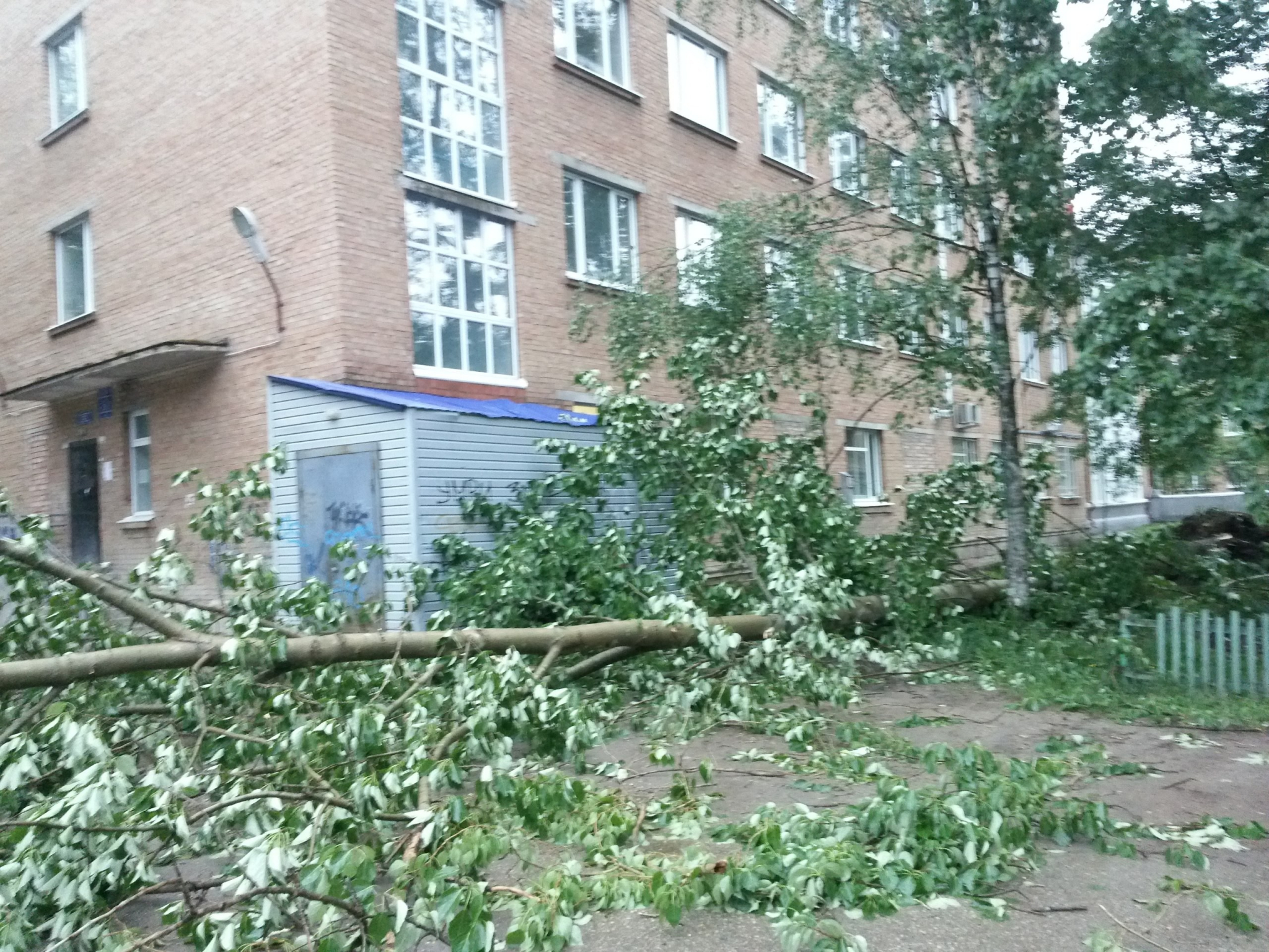В Москве из-за урагана погибли шесть человек