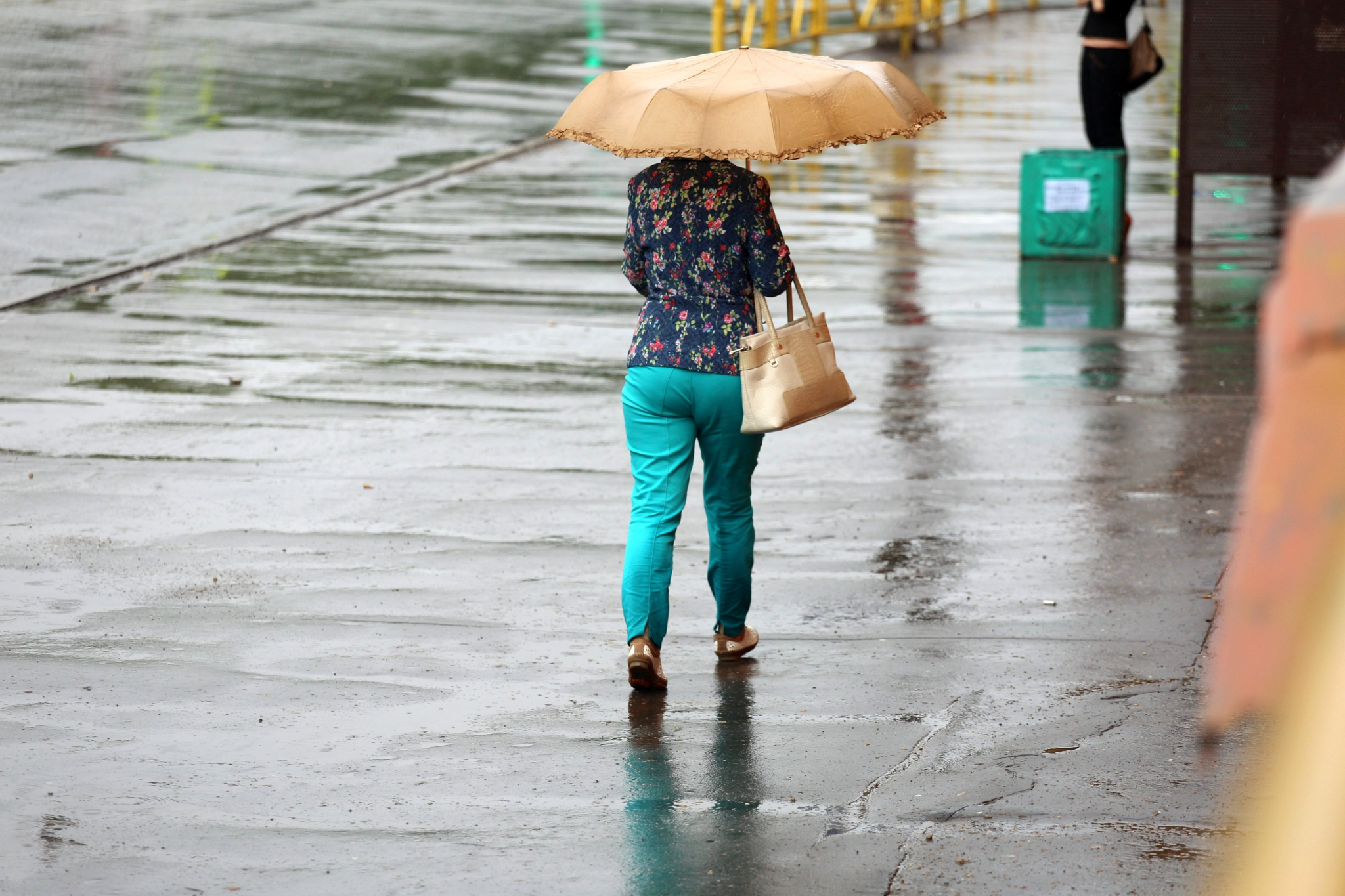 Погода в Саранске пятого июня: ожидается дождь