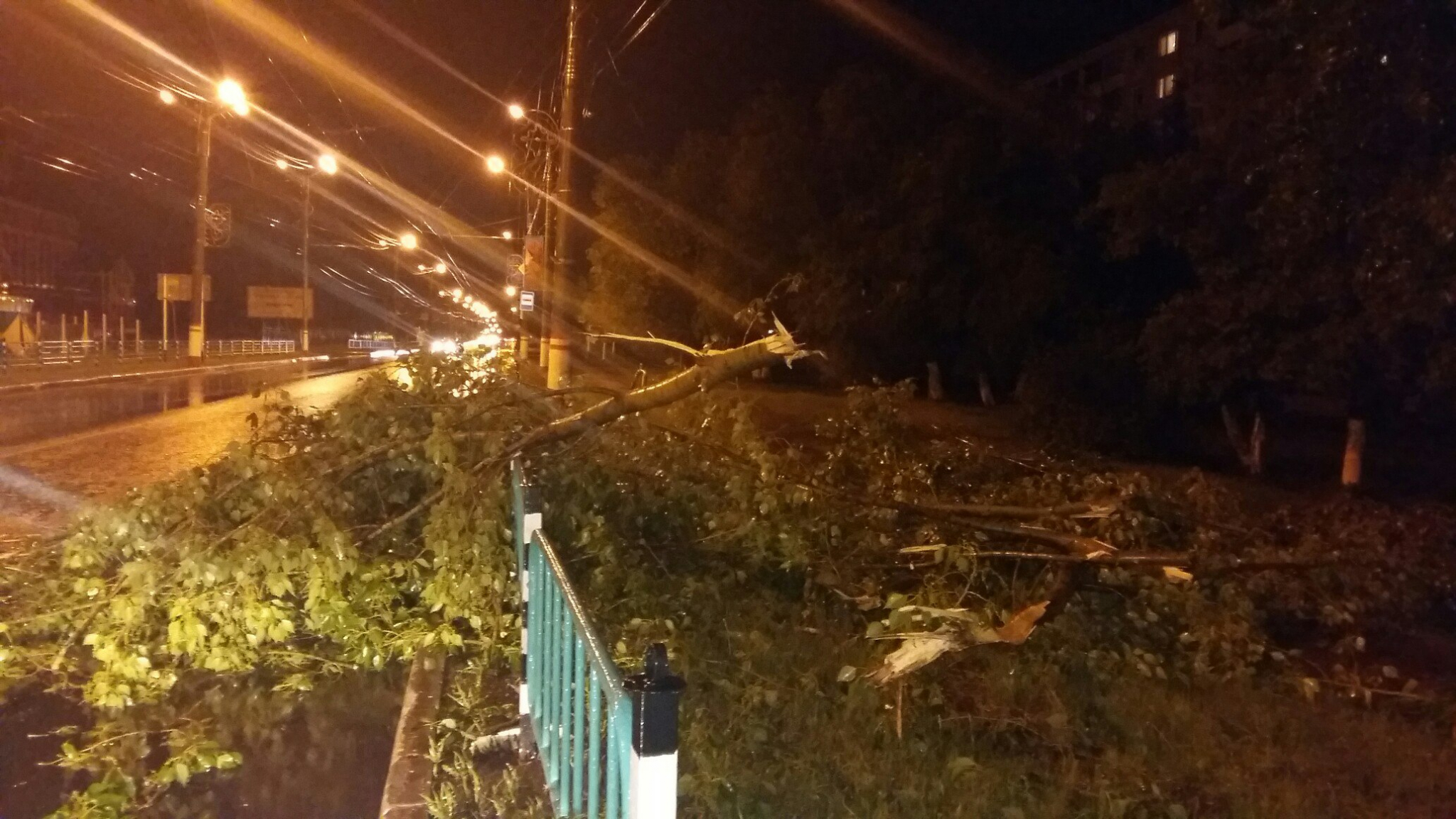 В Саранске подвели итоги прошедшего урагана: повалено 340 деревьев, пострадали десятки автомобилей