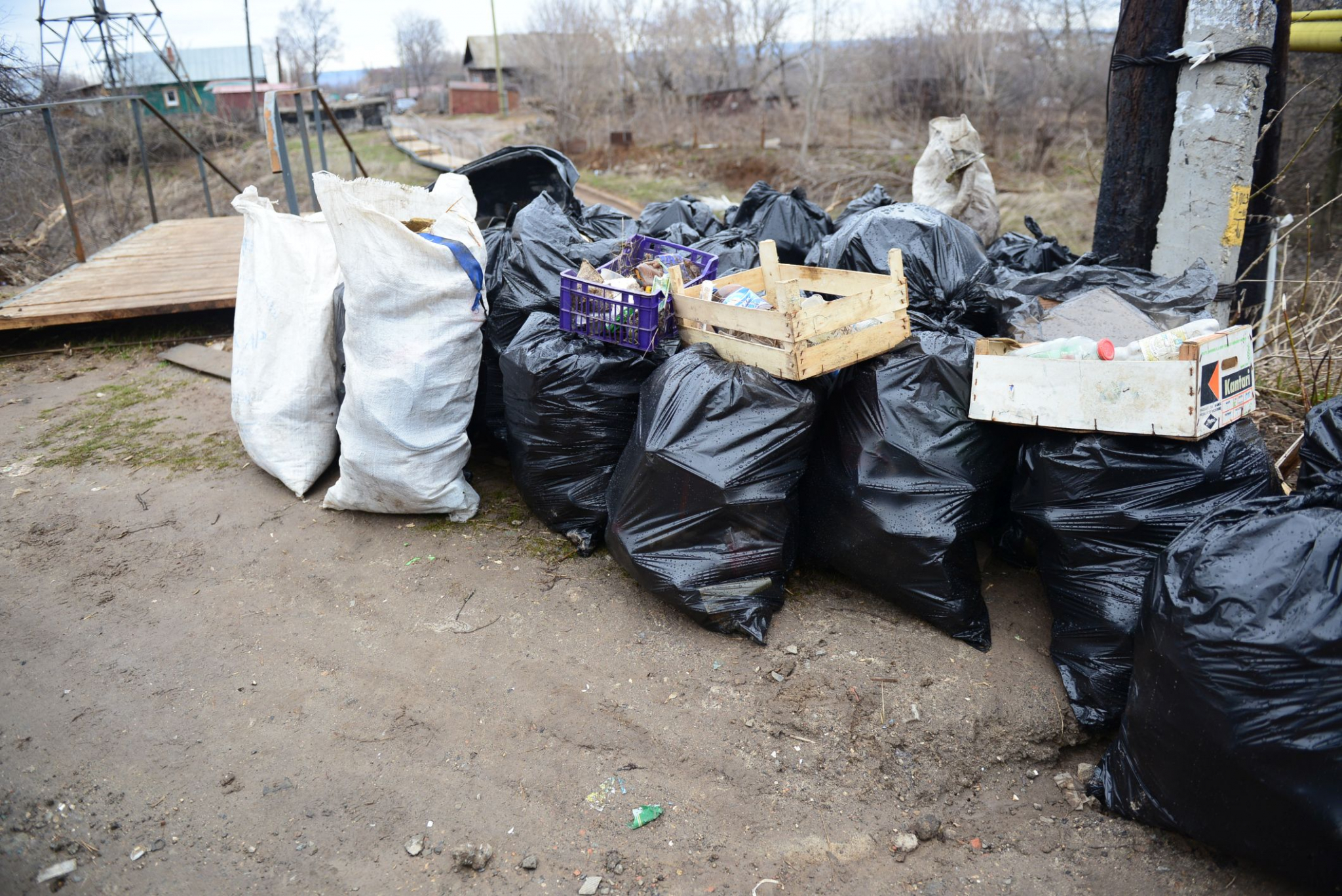 Правительство поддержало идею разрешить россиянам продавать мусор