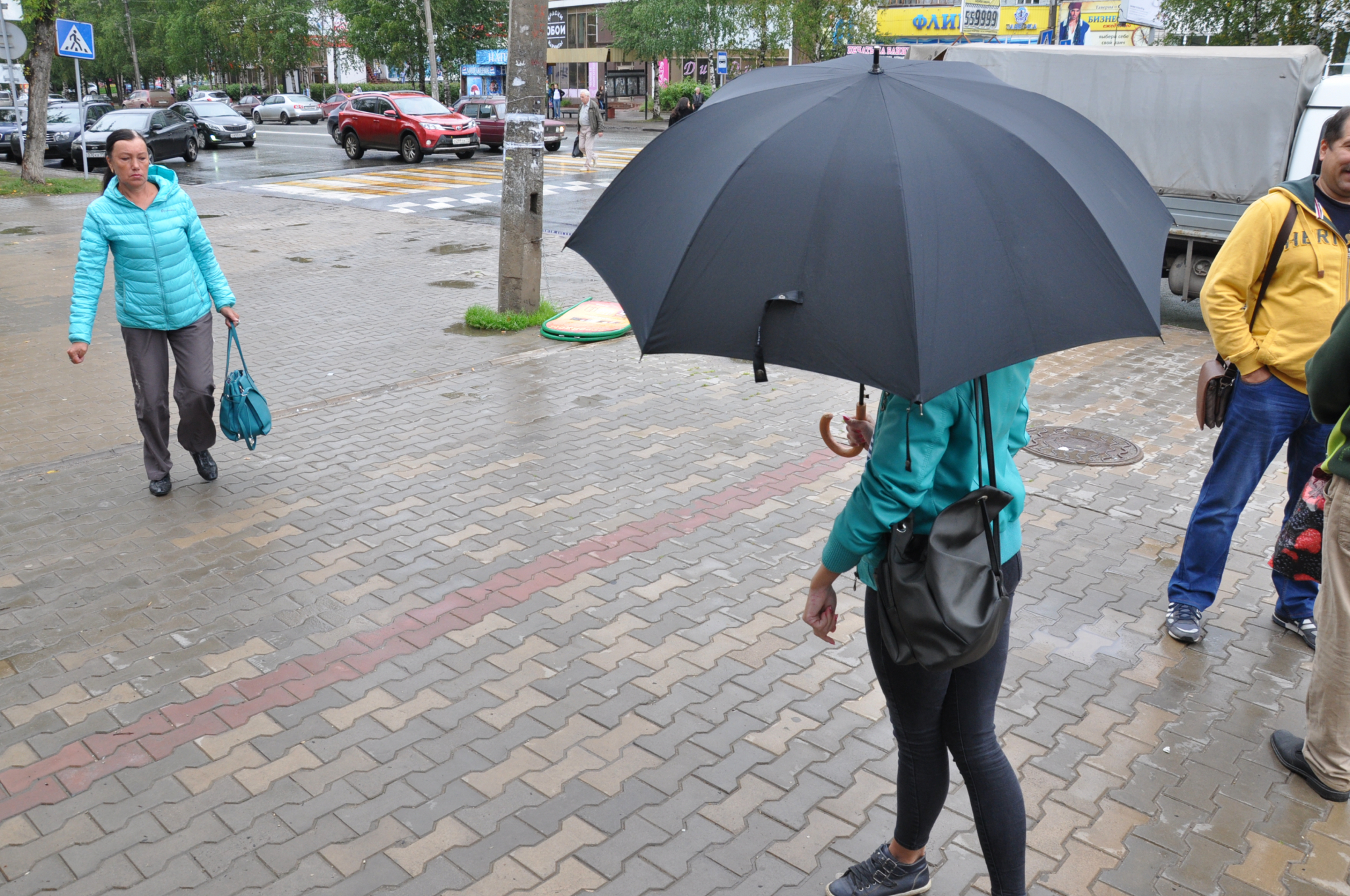 Погода в Саранске 22 июня: возможен небольшой дождь