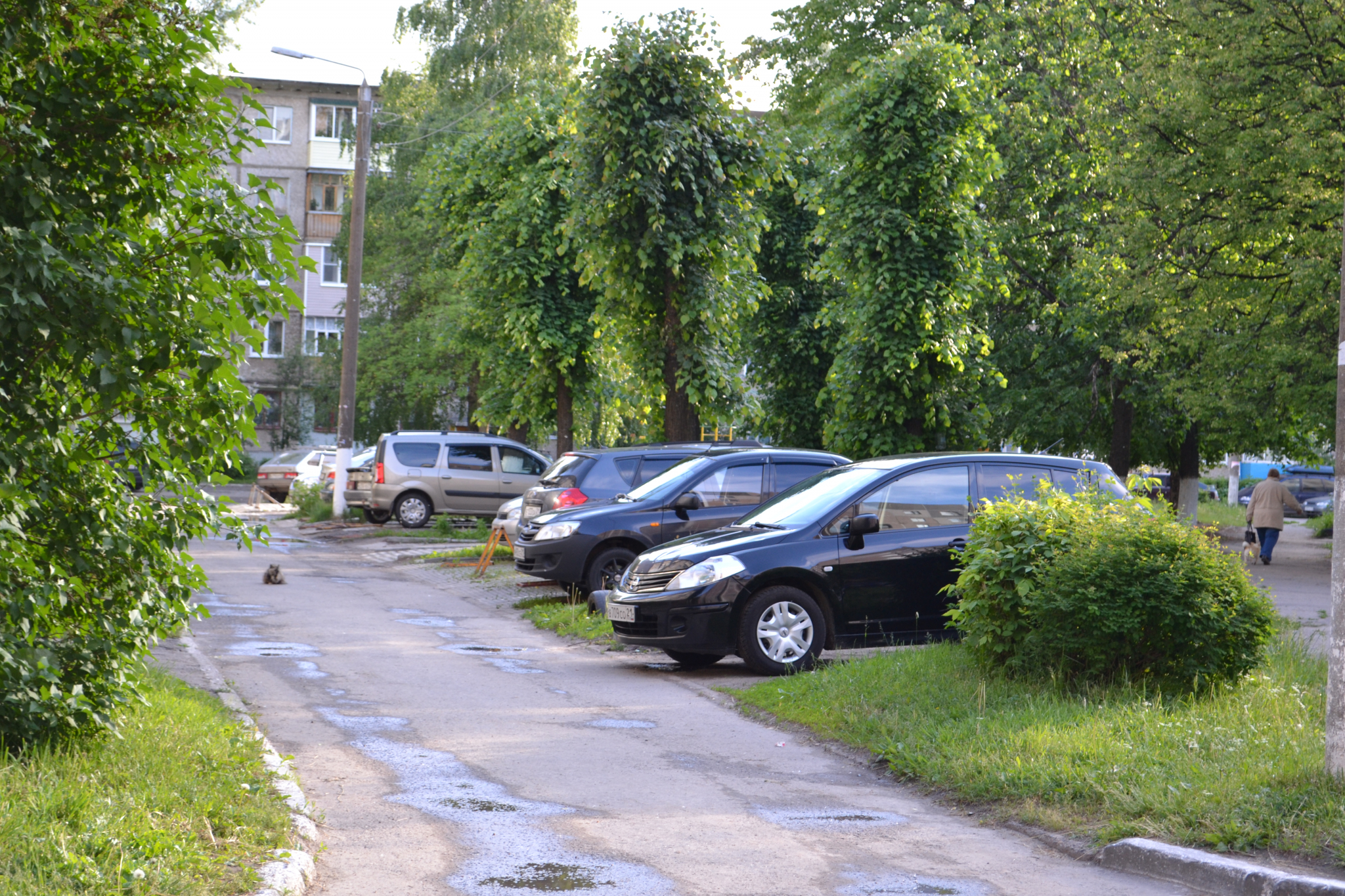В Саранске оборудовали временную дорогу для жителей домов на улице Татьяны Бибиной