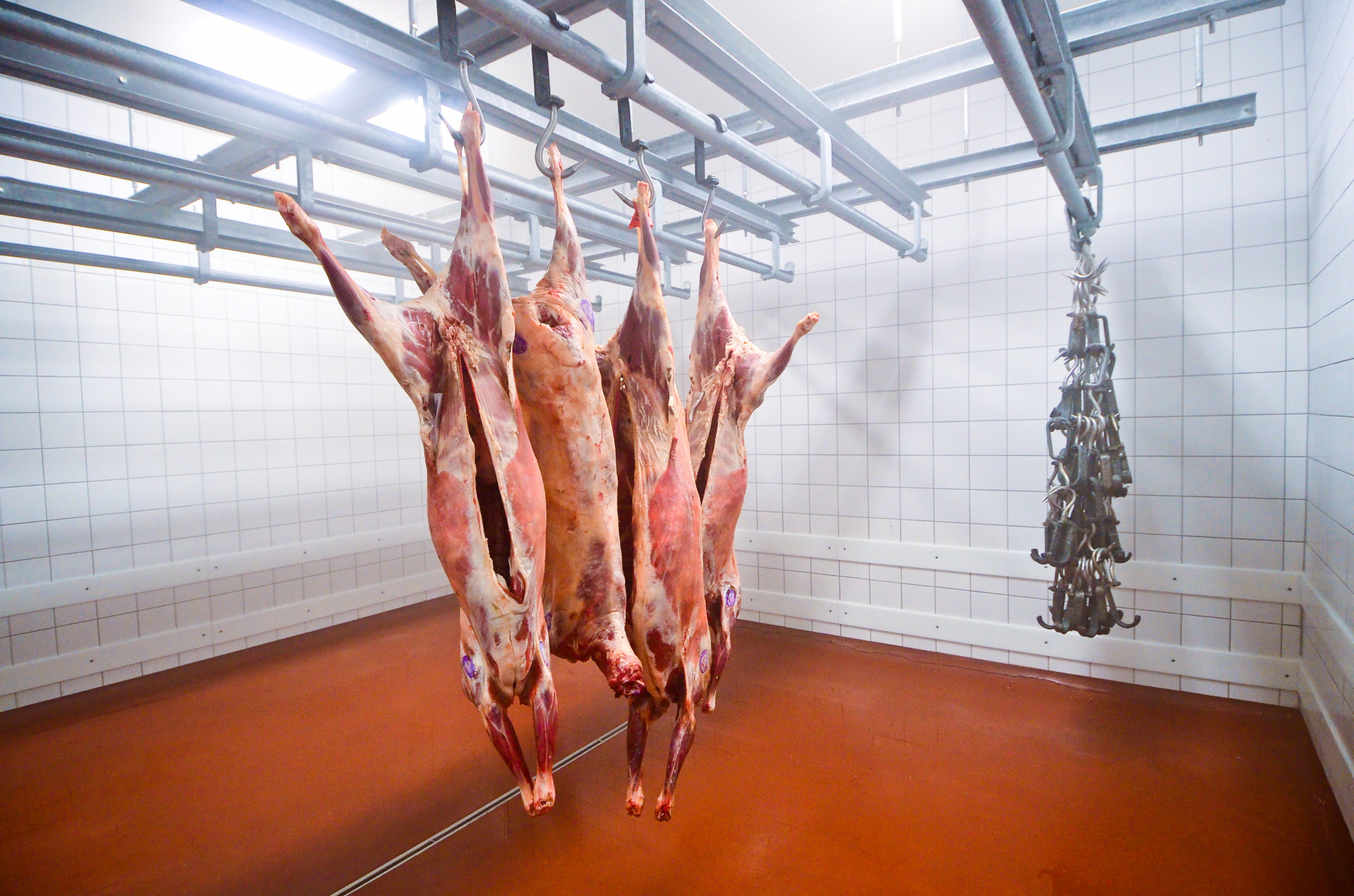 В Саранске осудили продавцов, которые продавали мясо умерших от болезней животных
