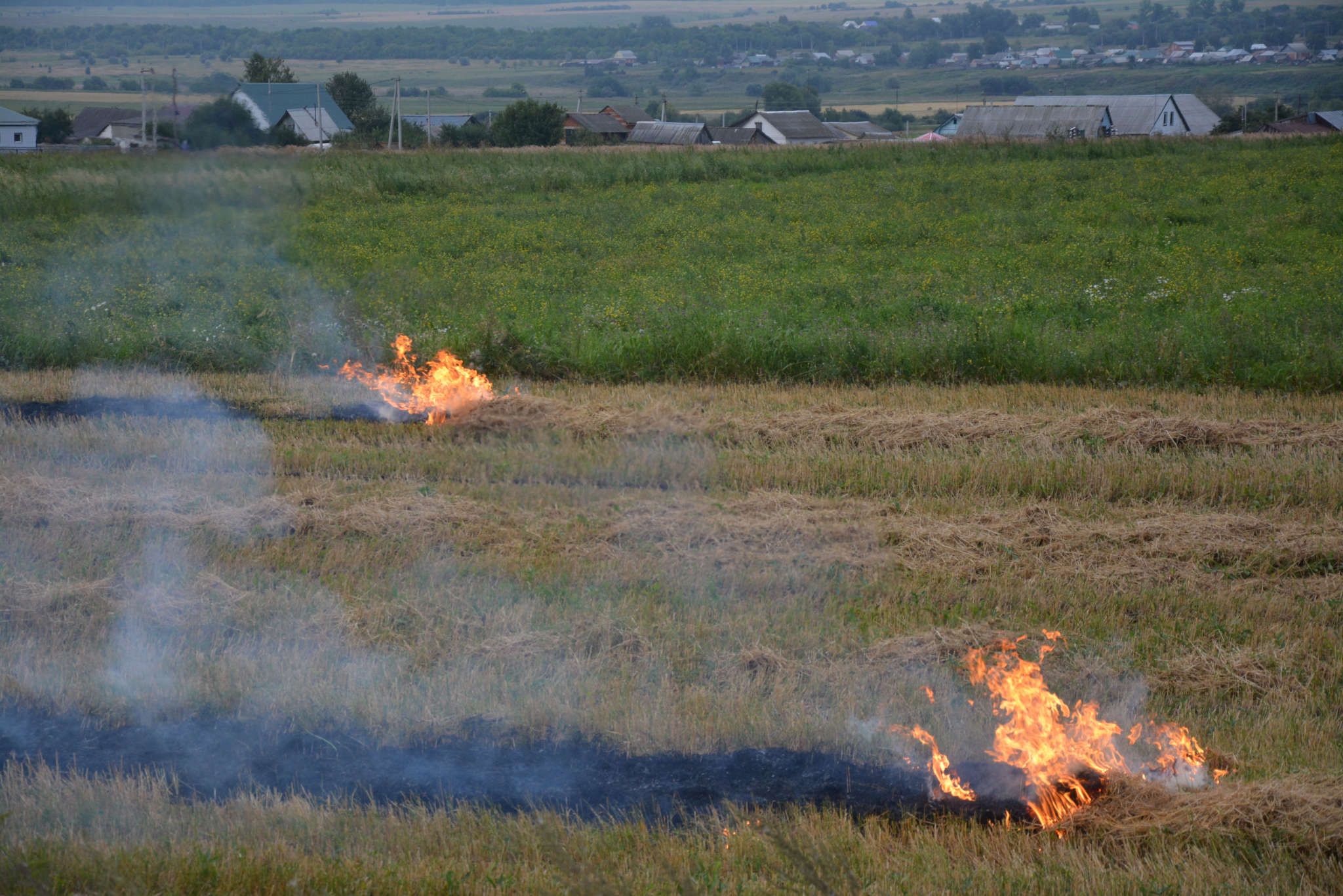 В Мордовии нерадивые хозяева предпочитают избавляться от сухостоя с помощью огня (ФОТО)