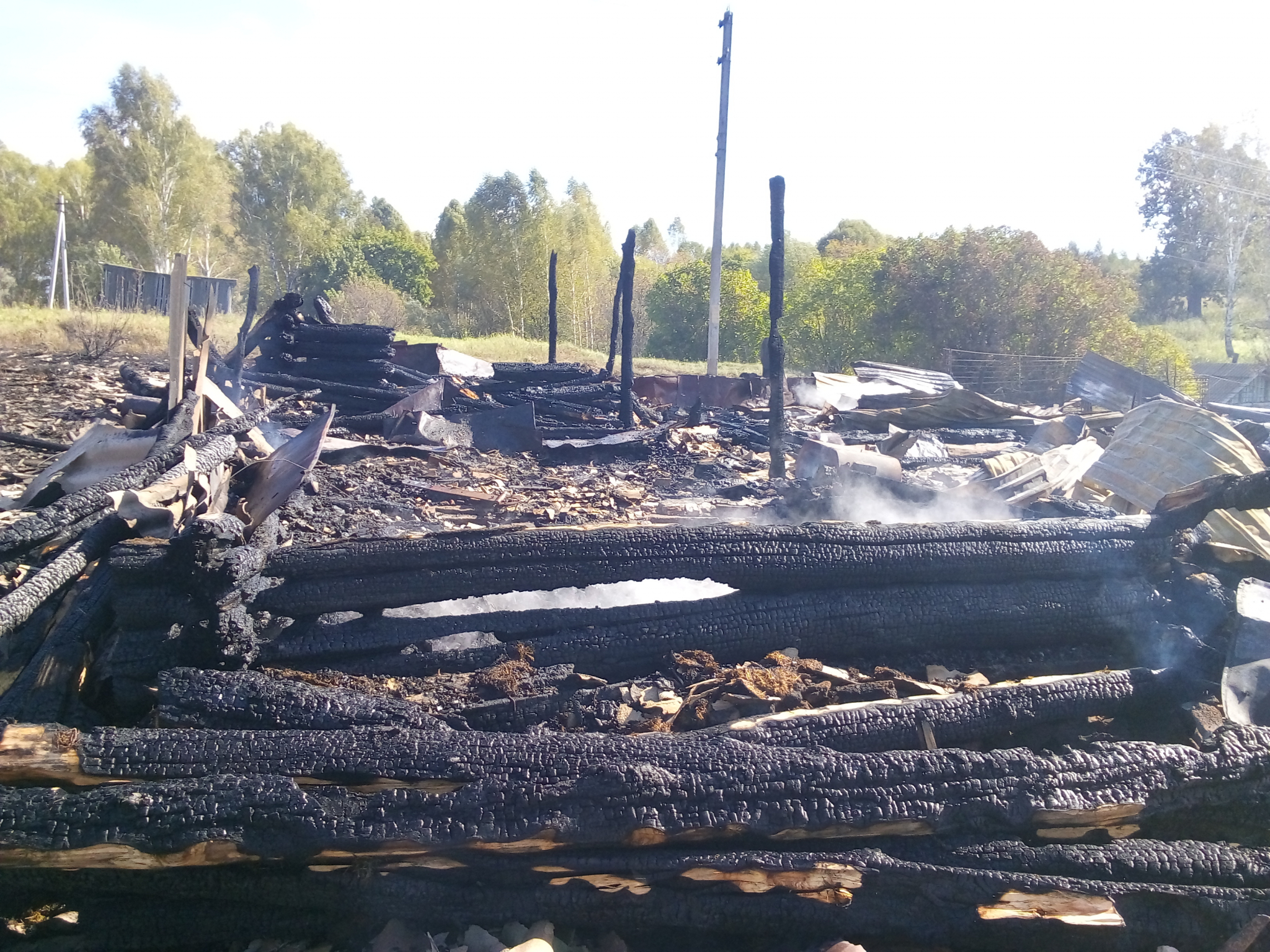 В МЧС Мордовии рассказали подробности смертельного пожара в Ельниковском районе