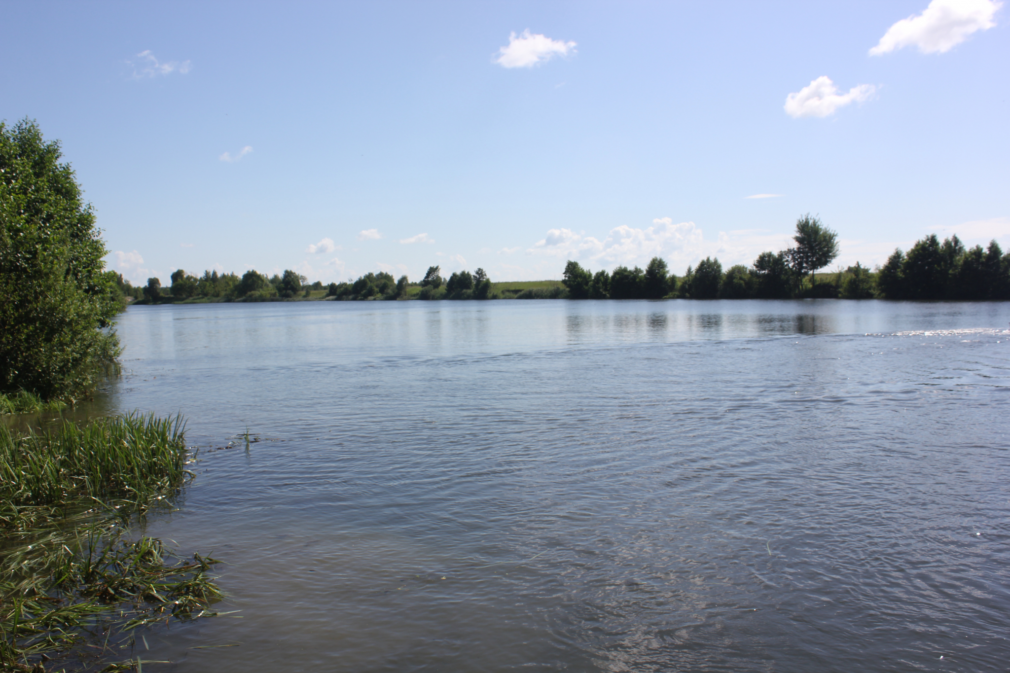 В Мордовии пьяный рыбак захлебнулся в реке