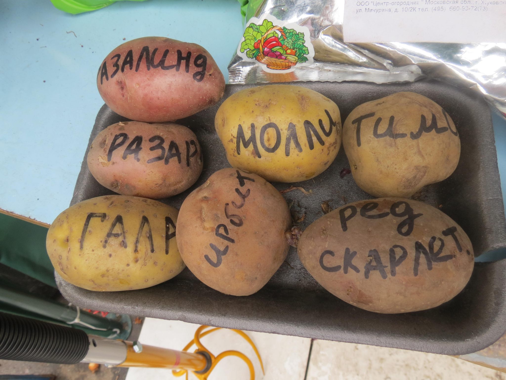 Две жительницы Мордовии украли 270 килограммов элитного картофеля
