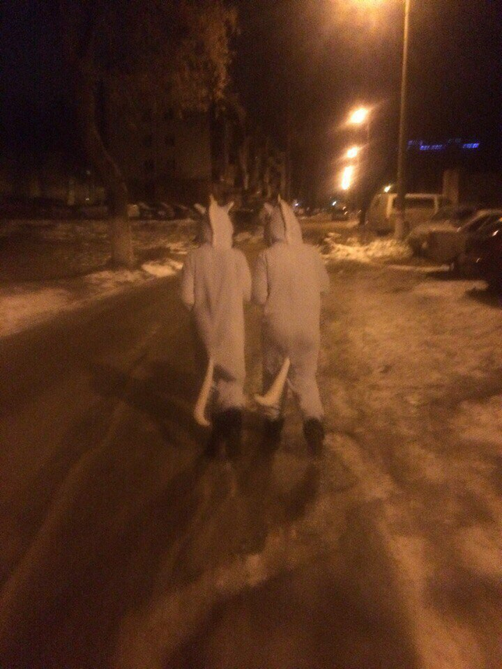 По ночному Саранску прогуливались два «единорога»