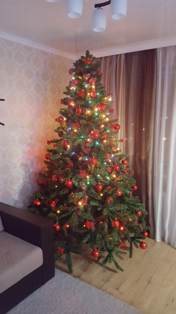 Как жителям Мордовии ухаживать за новогодней елкой?