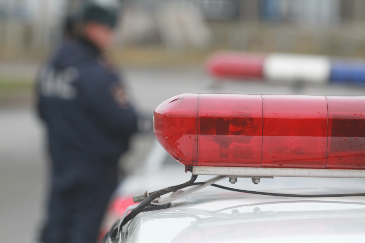 В Мордовии автомобиль опрокинулся в кювет: водитель погиб