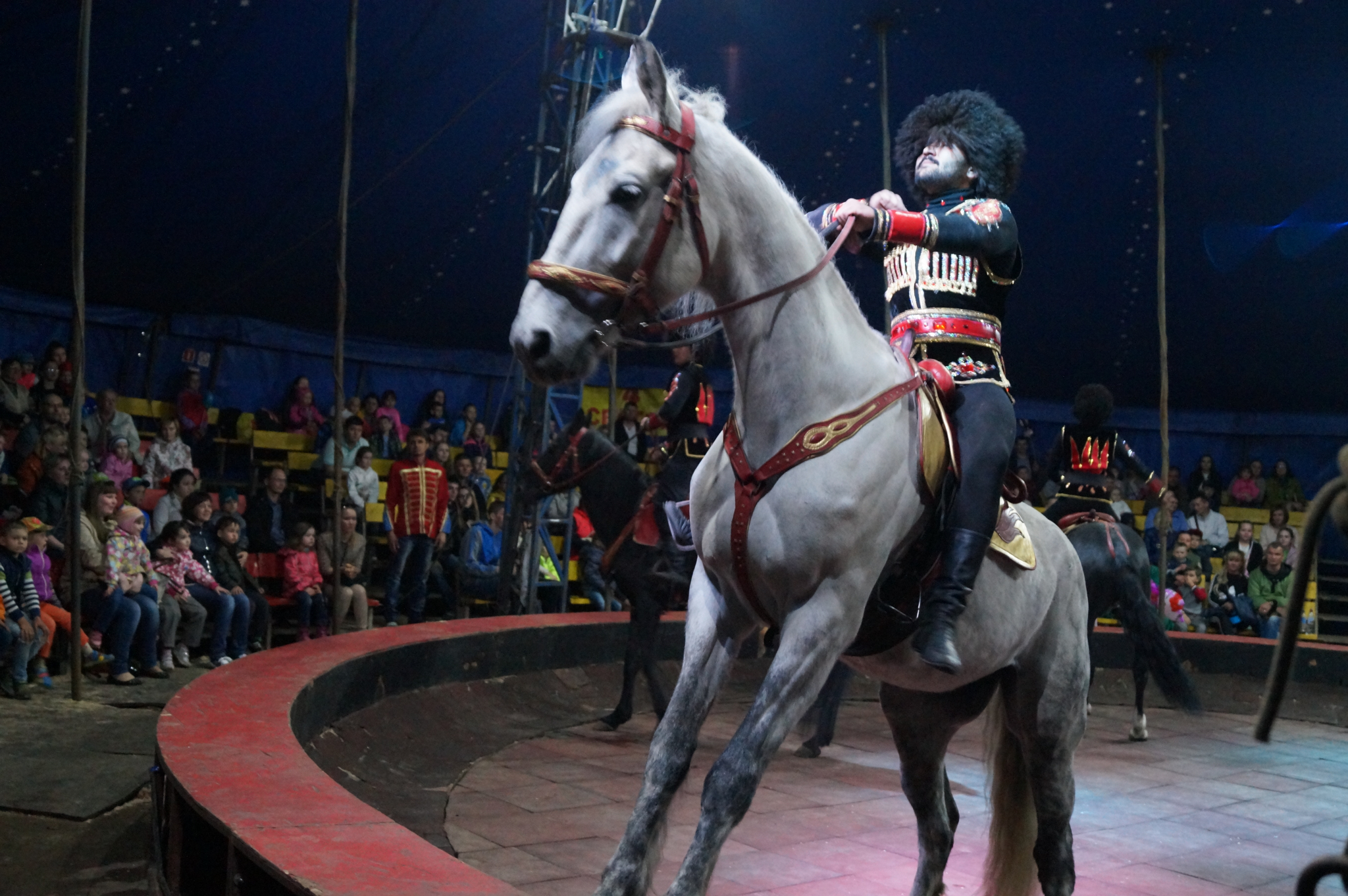 Житель Мордовии несколько лет гастролировал с цирком, чтобы не платить алименты детям