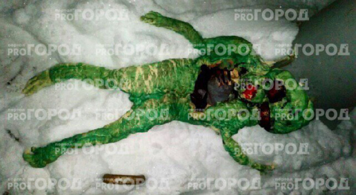 Новости «Pro Городов»: В Гусь-Хрустальном обнаружили растерзанное тело «зеленого человечка»