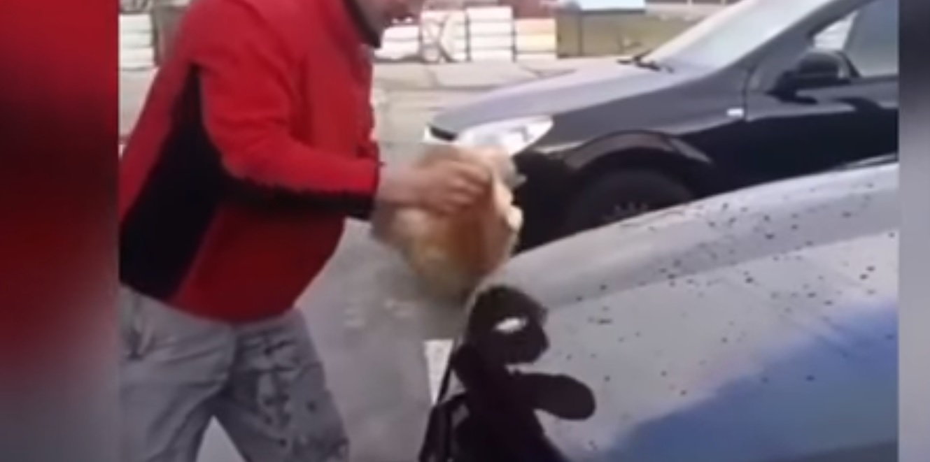 Новости России: Житель Кубани помыл машину котом