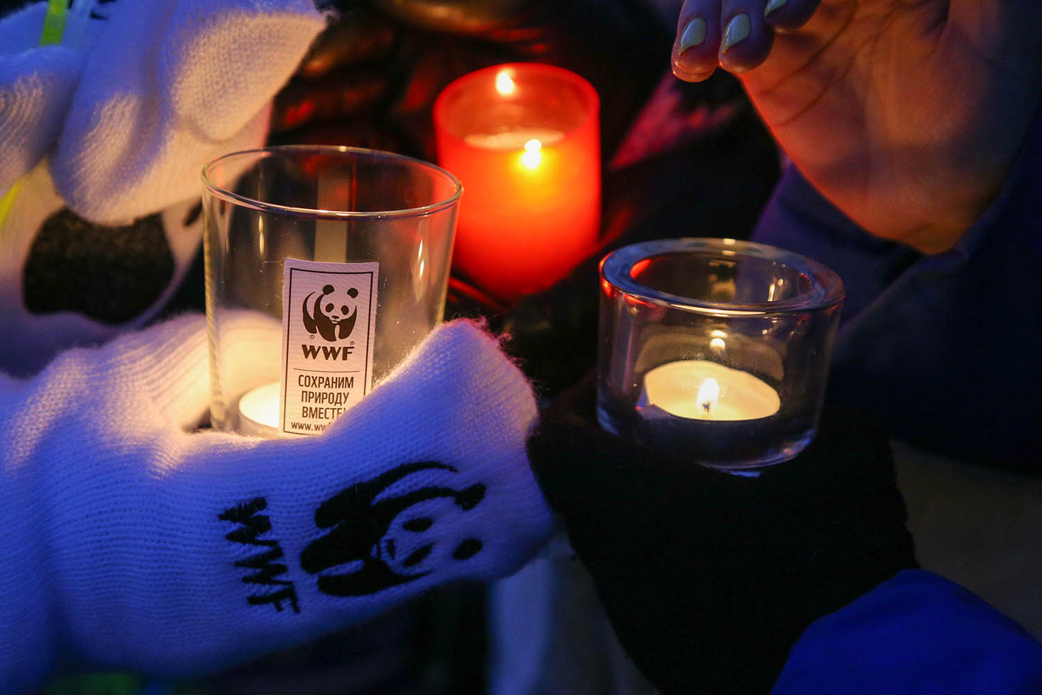 Столица Мордовии присоединится к акции «Час Земли»