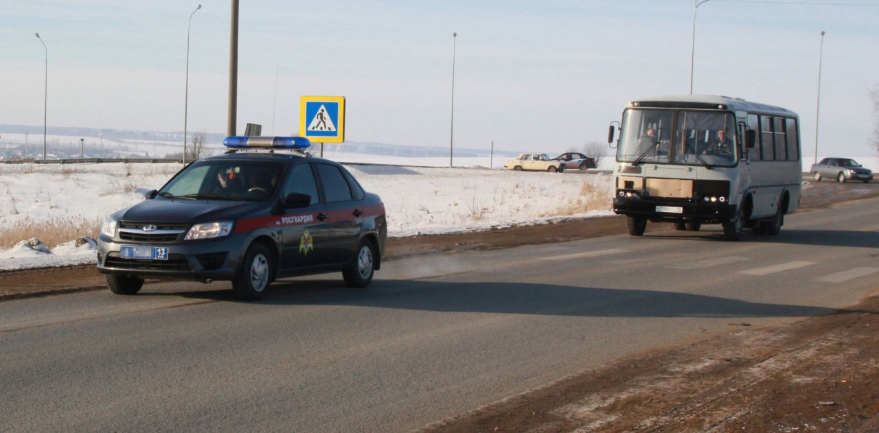 В Мордовии задержали пьяного водителя, который создавал аварийную обстановку на дороге