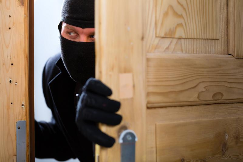 В Мордовии двое мужчин пытались ограбить частный дом 