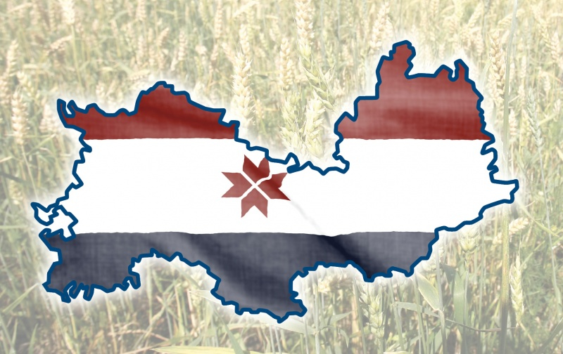 Мордовия занимает третье место среди регионов с максимальной социально- политической устойчивостью 