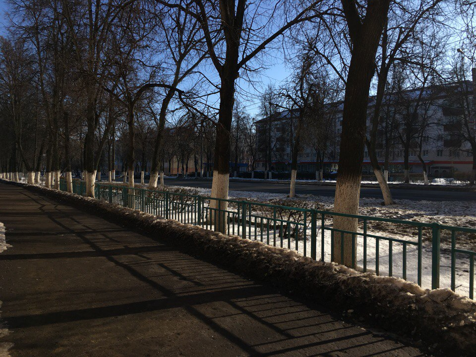 Что ждать жителям Саранска от погоды в воскресенье?