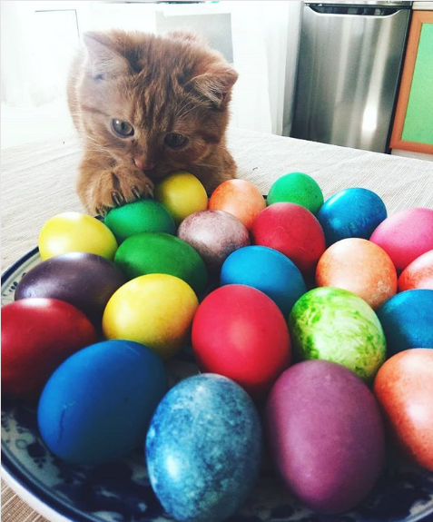 Instagram-подборка: Жители Саранска делятся фотографиями пасхальных яиц