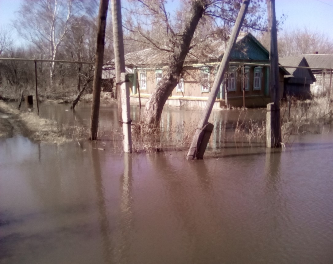 В мордовском селе подтоплено 36 приусадебных участков